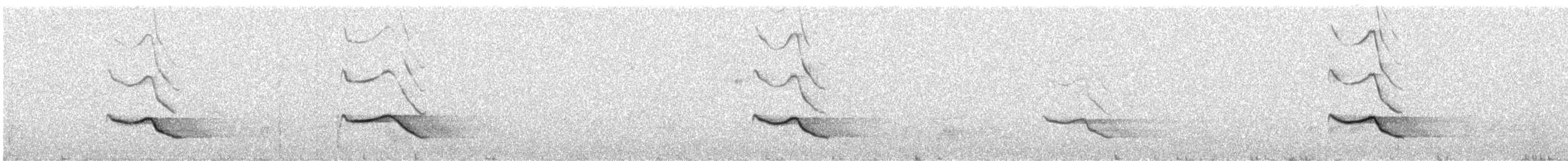 Rufipenne de Tristram - ML647642655