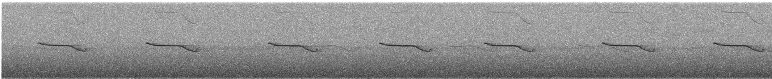 ハシナガヨタカ - ML647642799