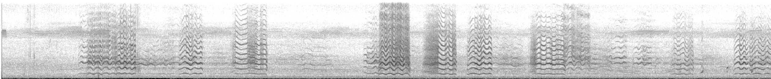 Little Corella - ML647644358