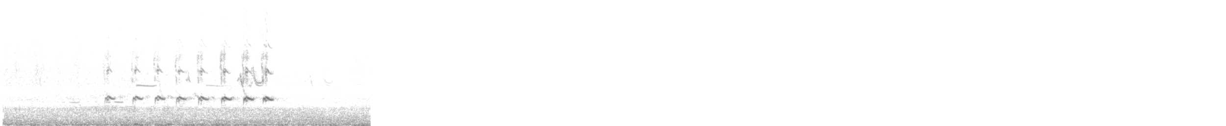 Kurlinta amerikarra - ML647644521