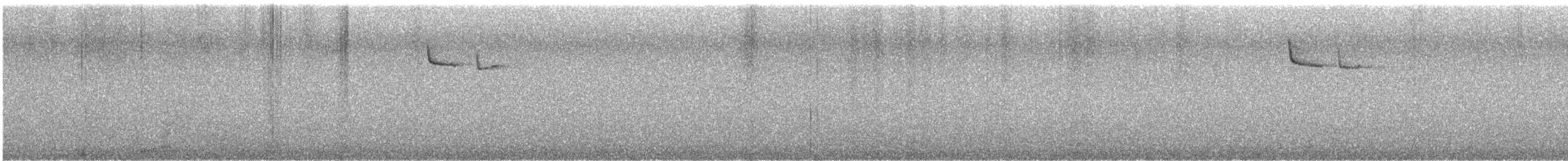 Brown Creeper - ML647644678