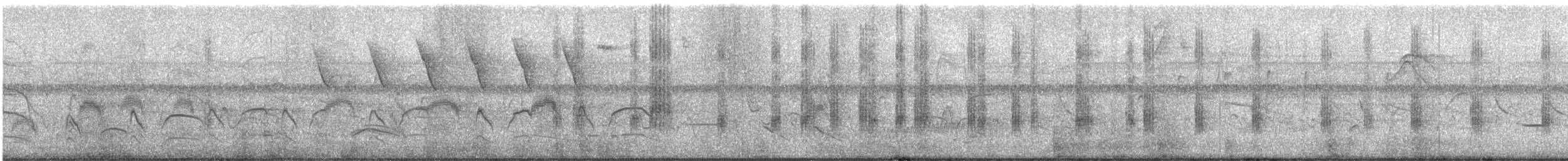 Amazon Kingfisher - ML647644923