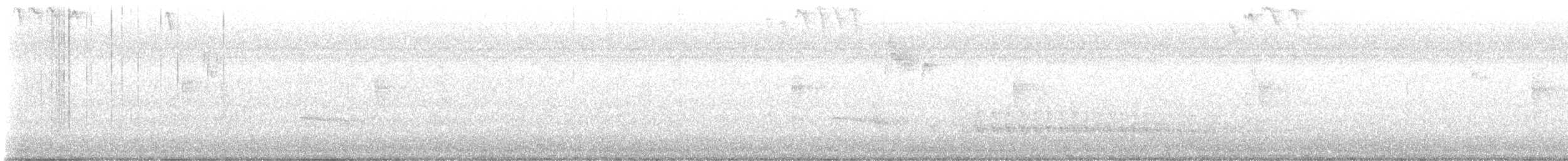 Red-bellied Woodpecker - ML647644939