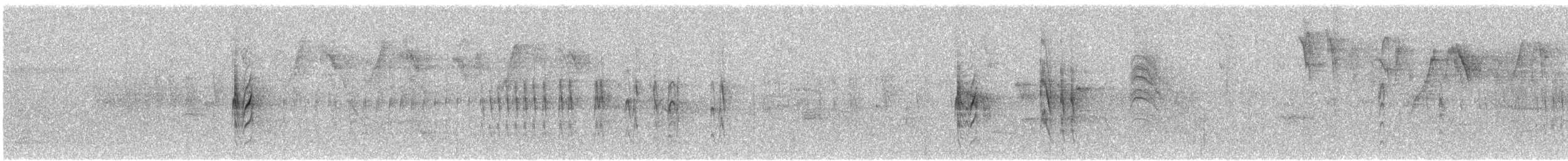 Gray-and-white Tyrannulet - ML647644958