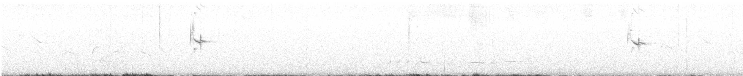 Pearly-bellied Seedeater - ML647645278