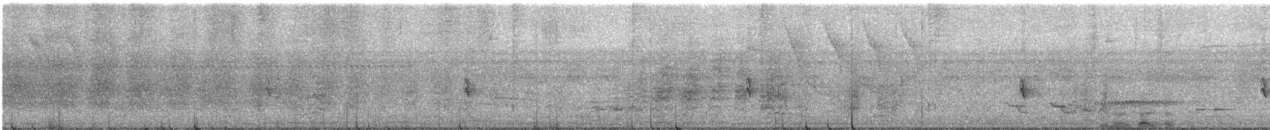 White-lined Tanager - ML647645396