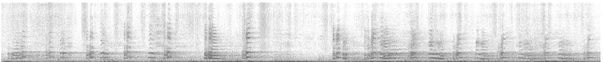 Oca canadese minore - ML647645535