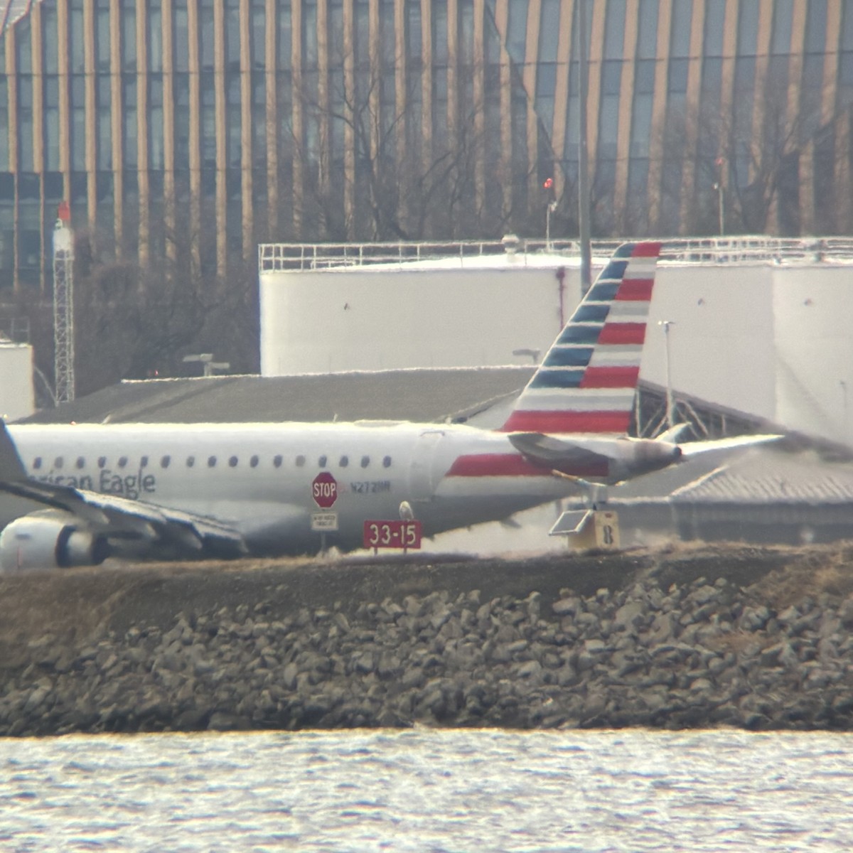 Snowy Owl - ML647646381