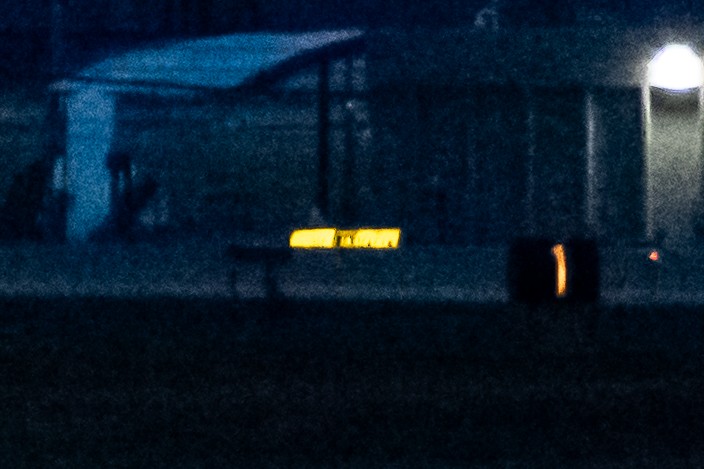 Snowy Owl - ML647646414