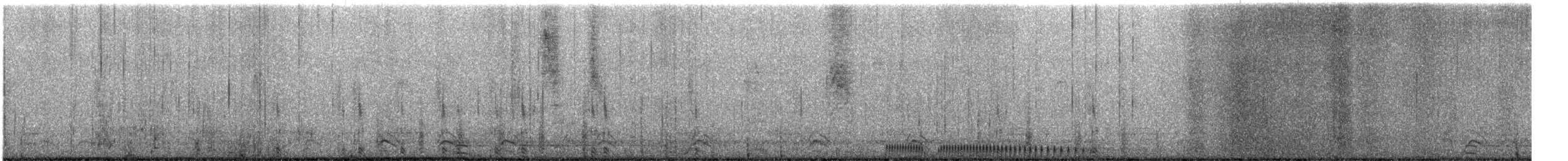 Northern Shoveler - ML647647137