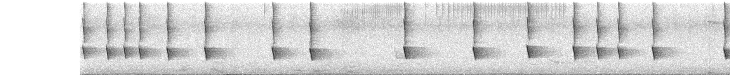 New Holland Honeyeater - ML647647499