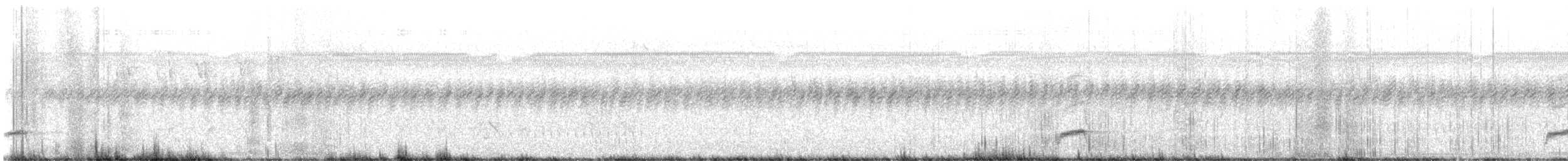 Streamer-tailed Tyrant - ML647647673