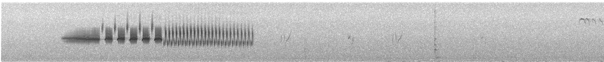 Chingolo de Brewer - ML647647715