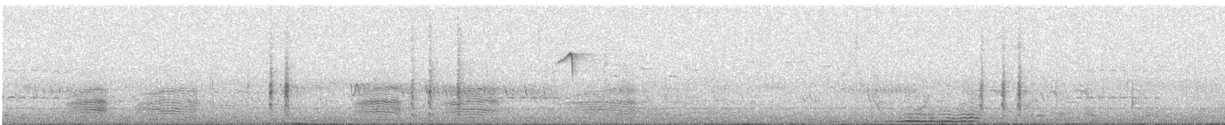 White-eared Honeyeater - ML647647890