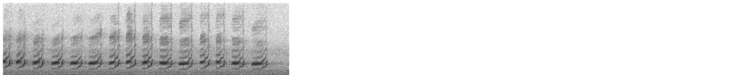 Gray Butcherbird - ML647647896