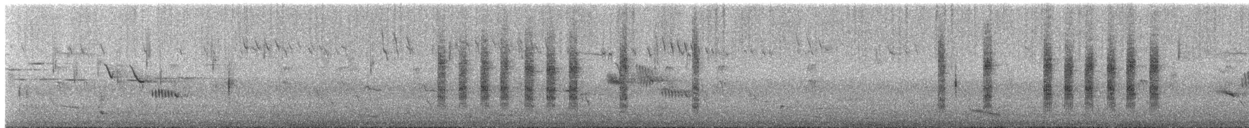 Brown Thornbill - ML647647903