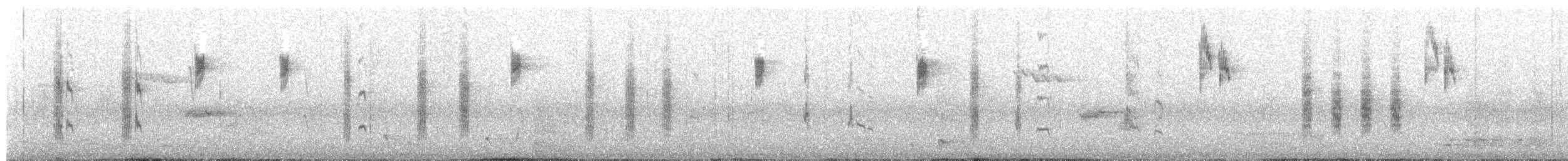 Brown Thornbill - ML647647906