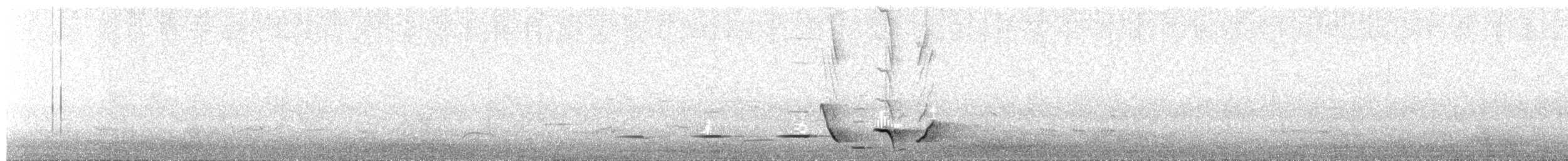 Gray Shrikethrush - ML647647914