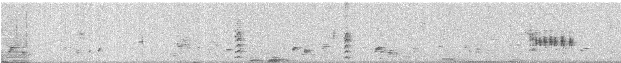 Red-vented Bulbul - ML647647987