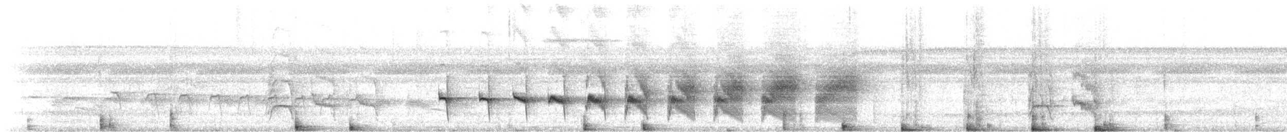 Peruvian Warbling-Antbird - ML647648475