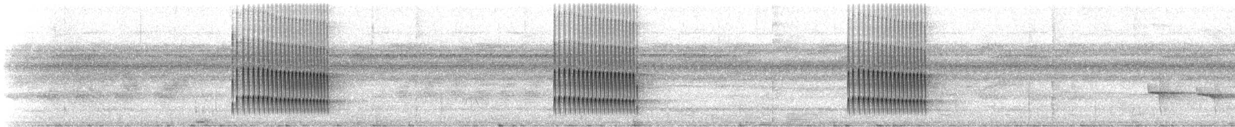 Snethlage's Tody-Tyrant - ML647648496