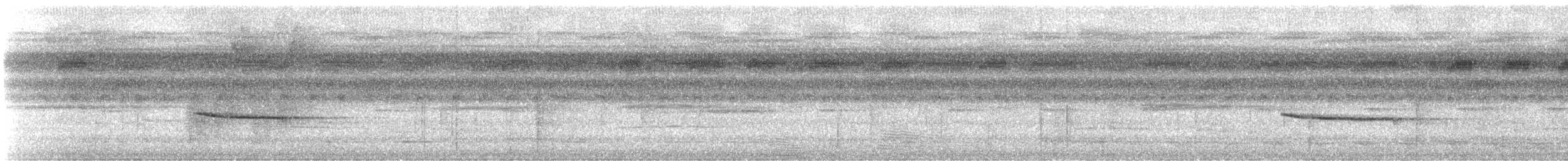 Collared Gnatwren - ML647648526