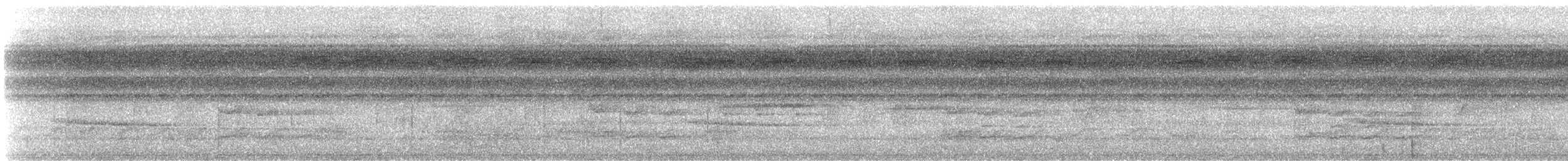 passerine sp. - ML647648551