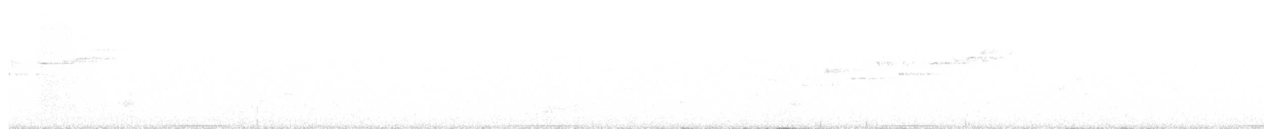 Gray Butcherbird - ML647648577