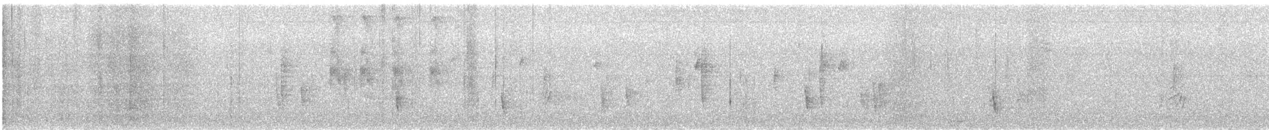 Hermit Thrush - ML647648716