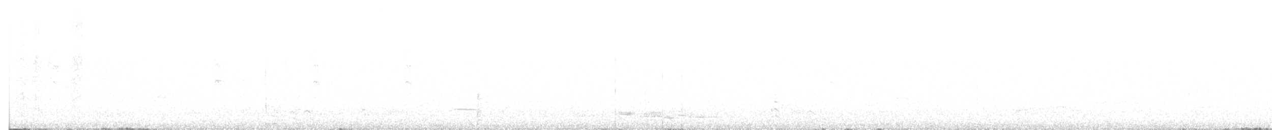 Australian Magpie - ML647649243