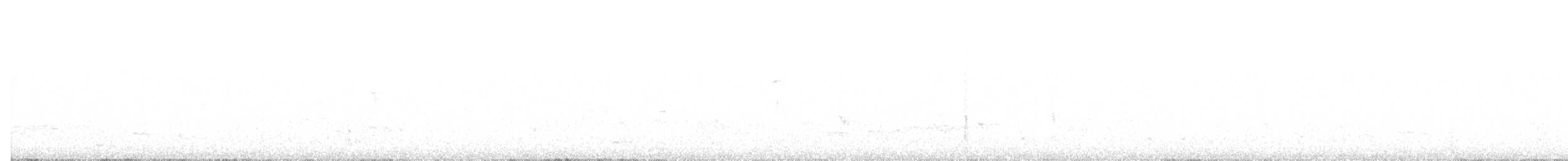 Sulphur-crested Cockatoo - ML647649486