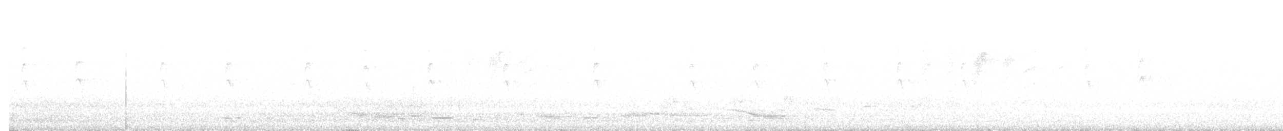 Australian Magpie - ML647649630