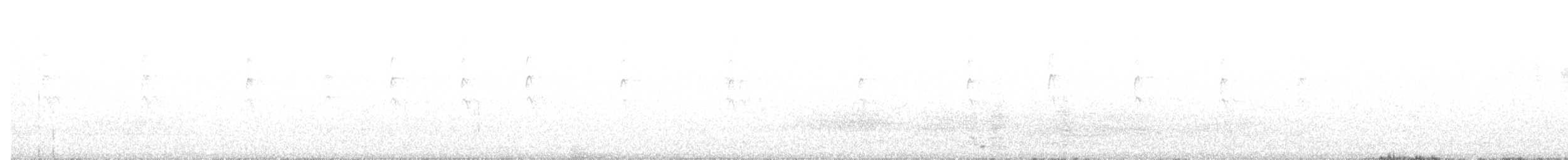 Sulphur-crested Cockatoo - ML647649695