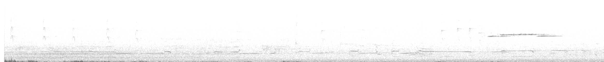 Kelp Gull - ML647649719