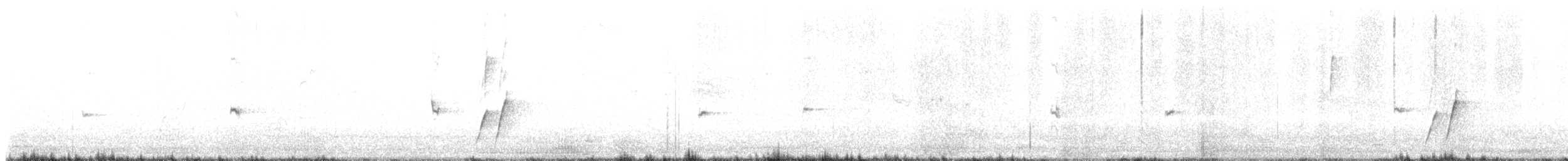 Cuitlacoche Piquicurvo - ML647649913