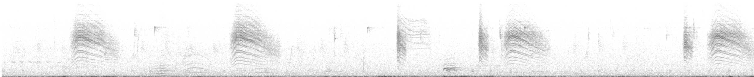 Perlita Capirotada - ML647649953