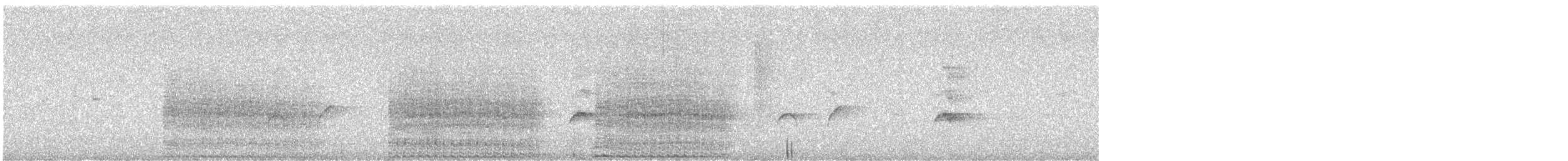 Black Wood-Pigeon - ML647651049