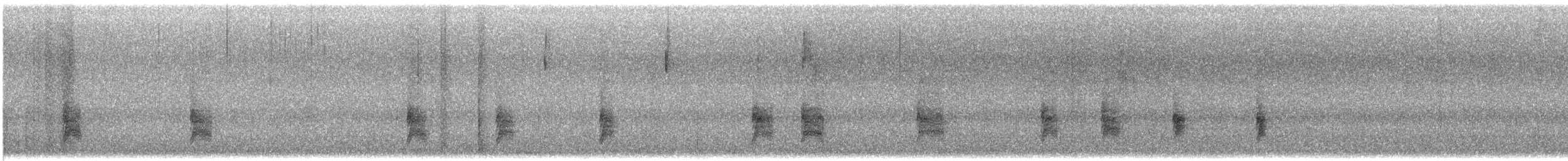 Bewick's Wren - ML647651074