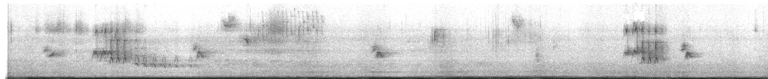 White-throated Sparrow - ML647652616