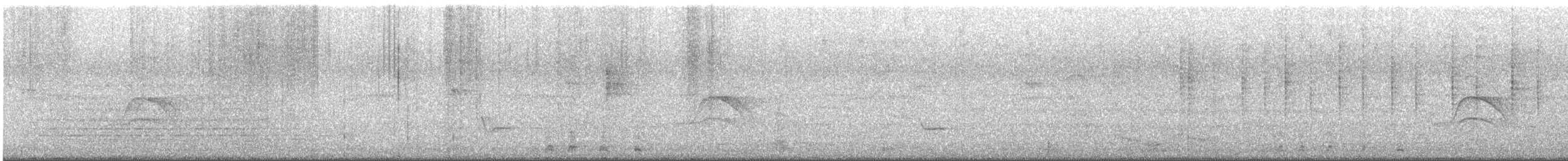 Ibis Afeitado - ML647652896