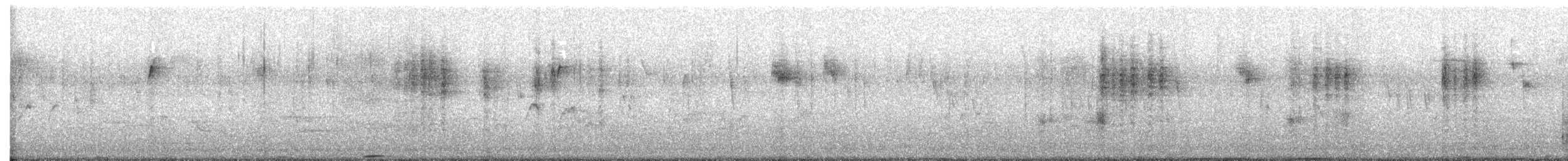 Northern Cardinal - ML647652965