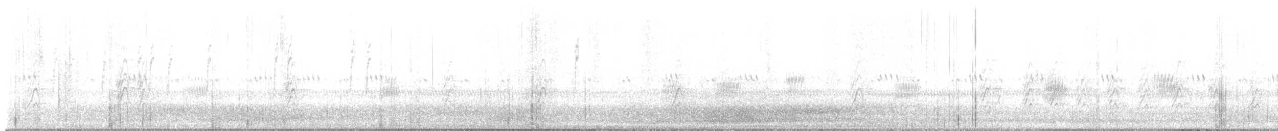 Zanate Mexicano - ML647653104