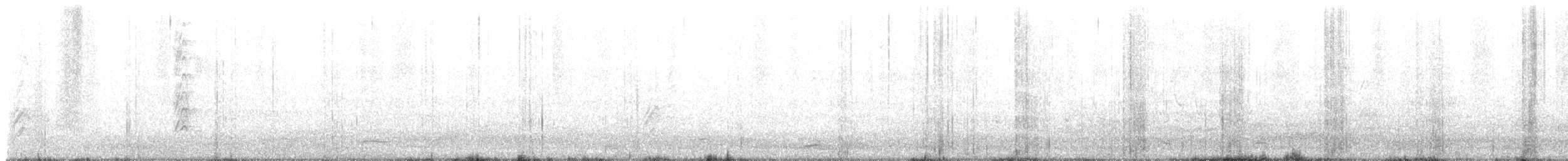 Гракл великохвостий - ML647653245