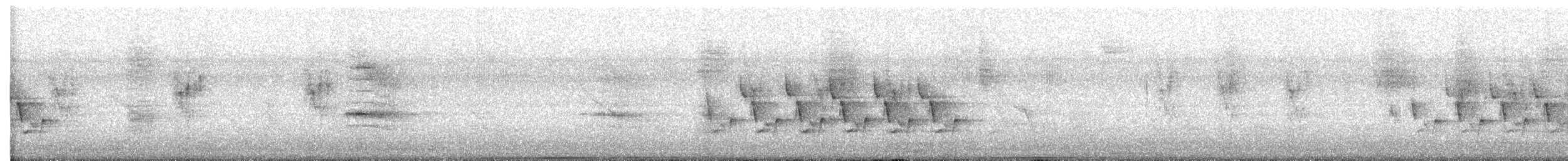 Carolina Wren - ML647653291