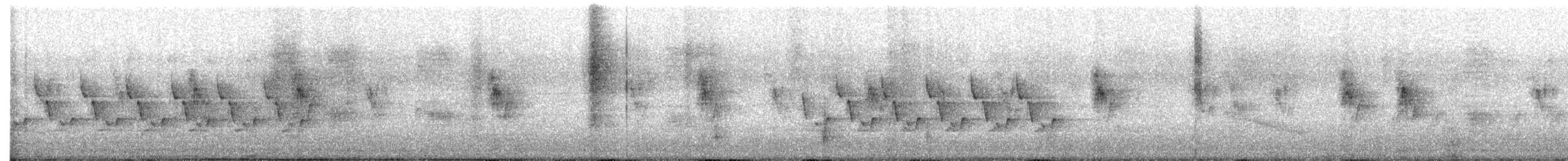 Carolina Wren - ML647653292