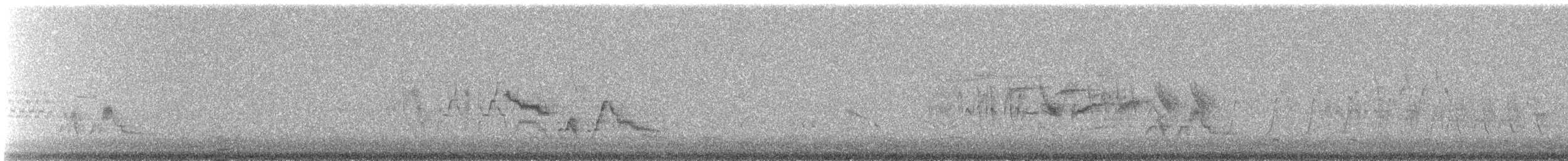 Grive à joues grises - ML647653320