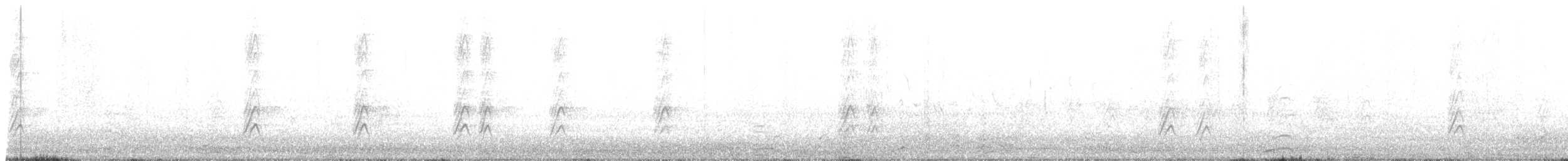 Quiscale à longue queue - ML647653341