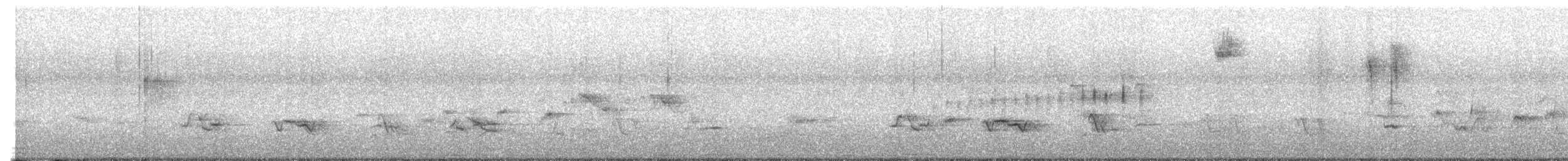 Purpurgrackel - ML647654519