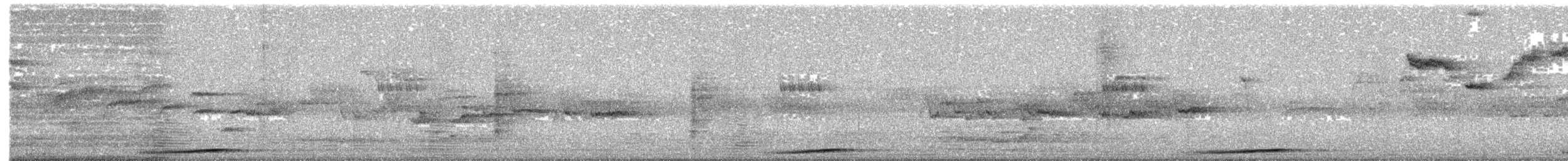 Brown Cuckoo-Dove - ML647654861