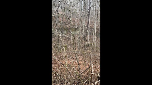 Индейка - ML647655817